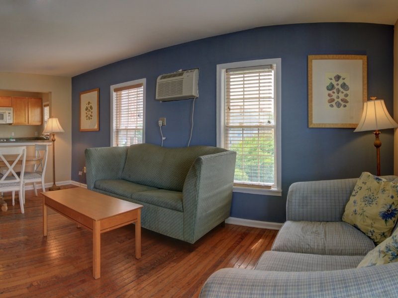a living room with blue walls and wooden floors